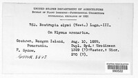 Image Associated With the Occurence